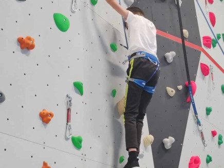 6b8531c6-5017-4688-919e-25e342f4b7df