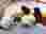 IMG-20250605-WA0004