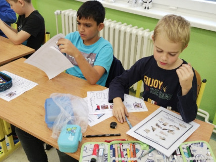 IMG_20231116_083452524