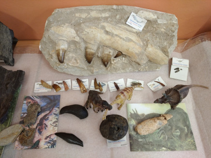 IMG_20230216_083900(1)