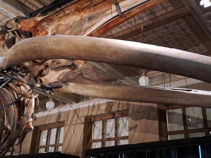 419578487_334722226136174_7289878480603404700_n