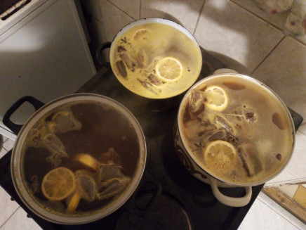 IMG_20231102_191129_872