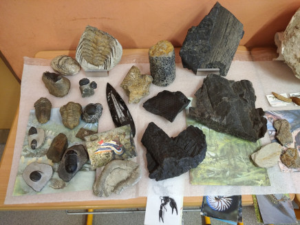 IMG_20230216_083852_1