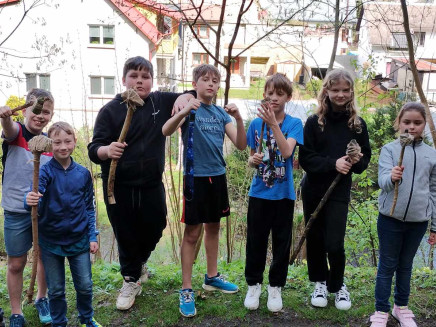 66715e73-cd57-43b2-9b52-8b559b8cde87