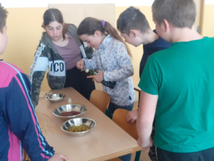 UTF-8IMG-20250429-WA0002