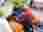IMG_20251008_143952