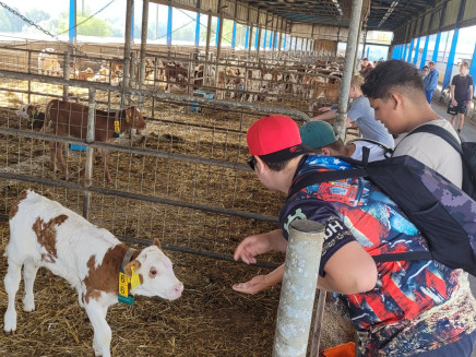 242a4916-be26-4e93-8106-5ba43fdf8f8d-1_all_17998