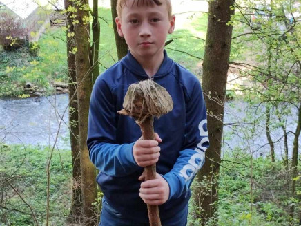 1ba69933-8c11-403a-b522-11bd94c8261a