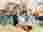 img-20250220-095224