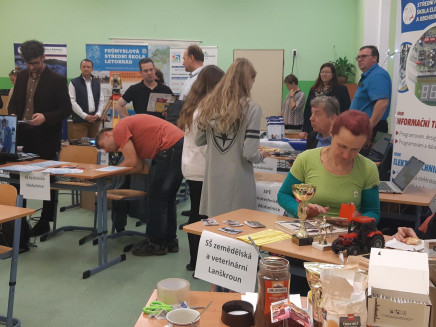 MicrosoftTeams-image