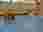 1000019477