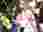 IMG_20250409_095037