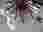 IMG-20240219-WA0081