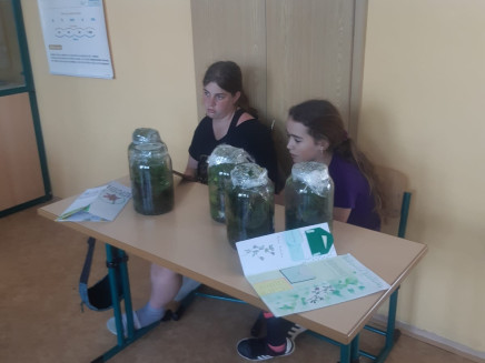 IMG-20250617-WA0003(1)