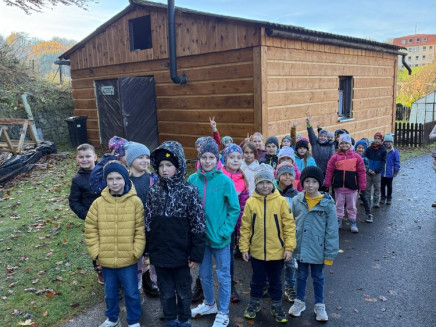 IMG-20251107-WA0007(1)