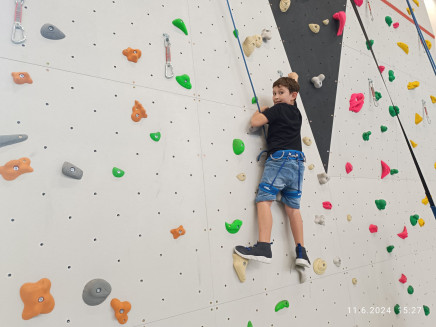 95337a18-e347-448c-94dd-a4d6fb8f303e