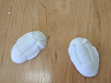 IMG_20230213_105553_1(1)