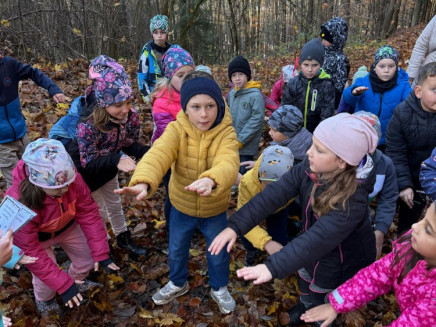 IMG-20251107-WA0010(1)