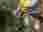 IMG-20250307-WA0240(1)