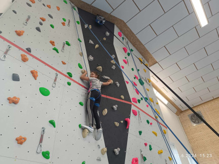 60fd4a68-54e4-4420-99e0-8a4f14cd5fe5