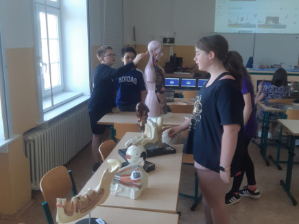 IMG-20250617-WA0005(1)