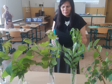 IMG-20250617-WA0004(1)