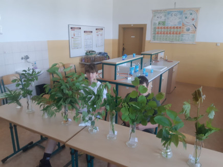 IMG-20250617-WA0001(1)