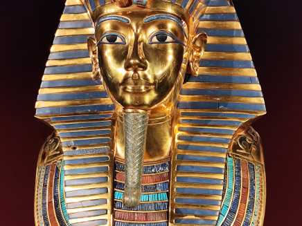 IMG_20250228_123831(1)