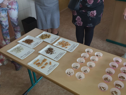 IMG-20240207-WA0018 (1)