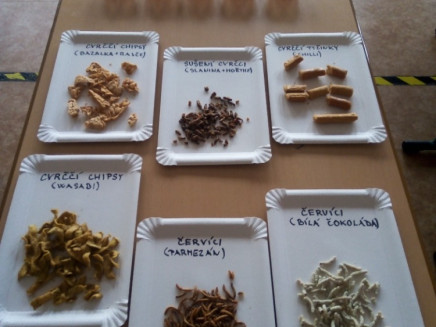 IMG_20240205_133139_149