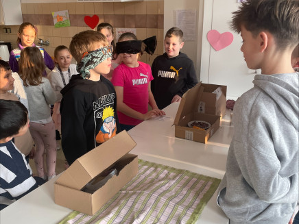 processed-8B4F9C6E-50A6-4D04-8CE1-FFE900CDC076