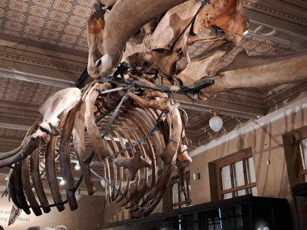 419932746_1073956917233859_1623431107180010906_n