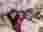 IMG-20250904-WA0002