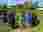IMG-20250430-WA0013