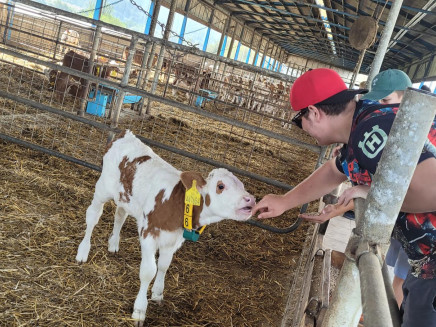 242a4916-be26-4e93-8106-5ba43fdf8f8d-1_all_18000