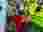 IMG-20250613-WA0000