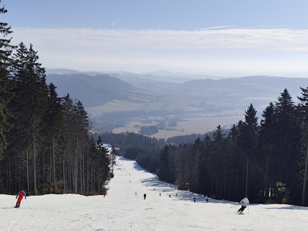 IMG_20250307_090205 1