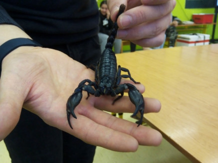 IMG_20240219_095413_835