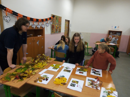 IMG_20221024_081319_219